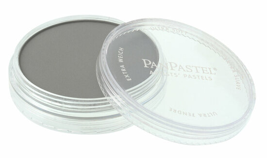 Pan Pastel Neutral Grey Shade (820.3)