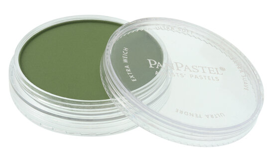 Pan Pastel Chromium Oxide Green Shade (660.3)