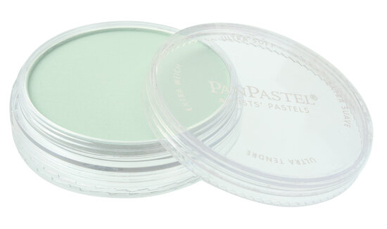 Pan Pastel Permanent Green Tint (640.8)