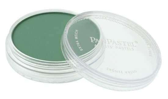 Pan Pastel Permanent Green Shade (640.3)